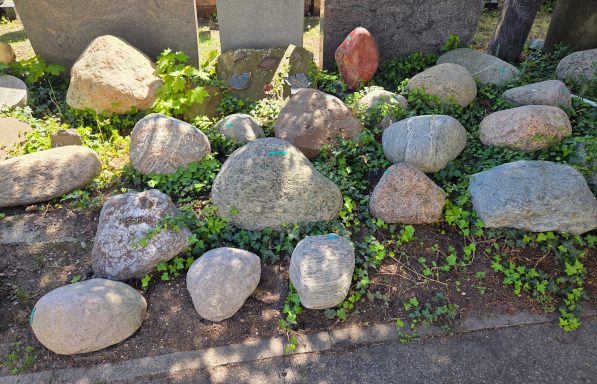 Eine Ansammlung von verschiedenen Steinen, umgeben von grünem Pflanzenbewuchs.
