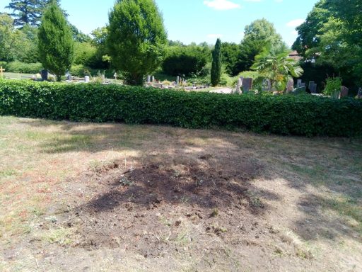 Brauner, trockener Boden in einem Park mit lichten Bäumen im Hintergrund.