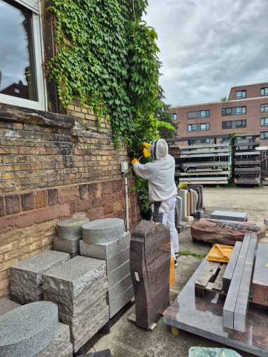 Eine Person entfernt Ranken von einer Wand neben gestapelten Steinen.