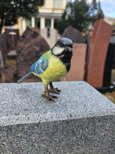 Bunter Vogel mit blauen und grünen Federn auf einer Steinoberfläche.