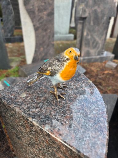 Ein Vogel mit orangefarbener Brust sitzt auf einem Grabstein.