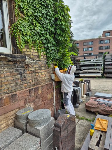 Ein Arbeiter entfernt Pflanzen von einer Wand, umgeben von Baustellenmaterialien.